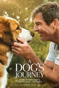 A Dog's Journey Full Movie Download Free 2019 HD A Dog's Journey Full Movie Download Free 2019 HD